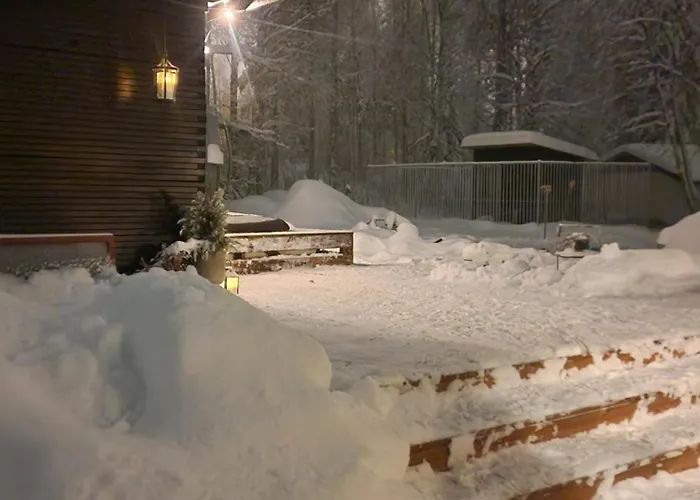 Drive & Arctic With Car, Sauna And Hot Tube Villa